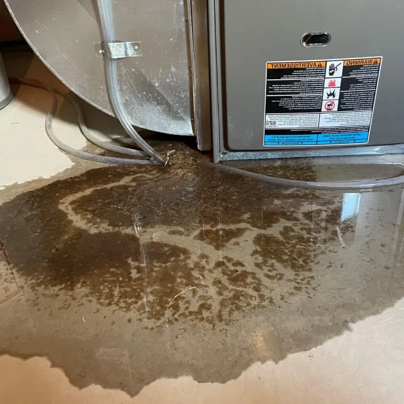 Pipe Burst and Leak Restoration in Grantham, NH